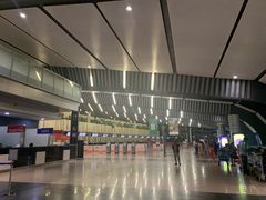 -西沃古尔·拉姆古兰爵士国际机场