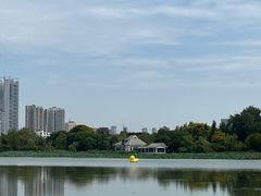 -月湖风景区