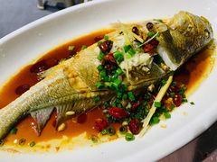 特色大黄鱼-阿杰臻选海鲜饭店(普陀山店)