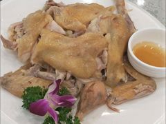 手撕盐焗鸡-新塘畔酒楼(里水大道北店)