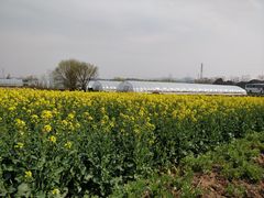 -南京市无想山景区