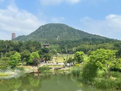 -牛首山文化旅游区
