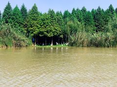 -溱湖国家湿地公园