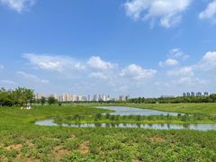 -洋湖国家湿地公园