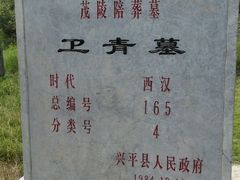 android_upload_pic-茂陵博物馆