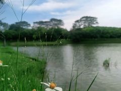 -东莞植物园