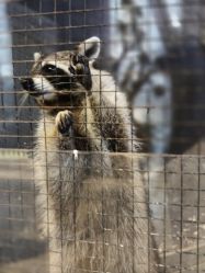 -酷嗒动物文化乐园(cutezoo西溪乐天城店)