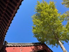 -四门塔风景区