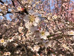 -蜀冈西峰生态公园