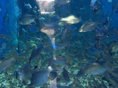 -成都浩海立方海洋公园