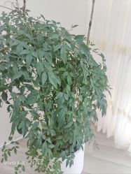 -HEYAN荷妍专业脱毛连锁机构