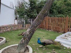 -金庭庄园酒店-停车场