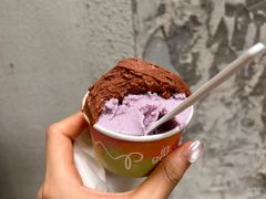 -Dip in Gelato(富民路店)