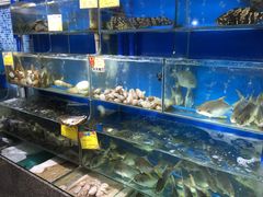 -蚝专家(北滘店)