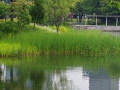 -尚贤河湿地