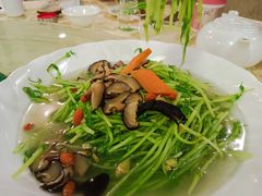 -佛有缘素食馆·荔湾老字号(陈家祠首店)