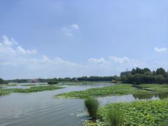-白洋淀景区