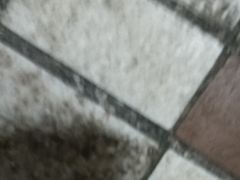 -梁园