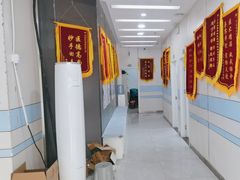 -中农国际动物医院24小时·猫科·骨科·急重症中心