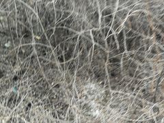 -商洛老君山旅游风景区