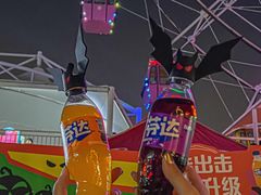 -巨鹏飞梦幻海岸