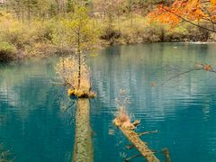 -如意林卡藏餐吧 (九寨沟店)
