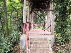 -天鹿湖森林公园