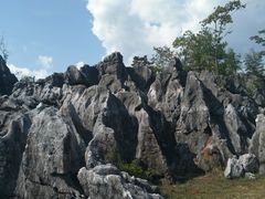-千岛湖石林