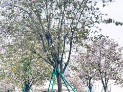 -洲头咀公园