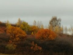 -塞罕坝国家级自然保护区