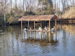 -溱湖国家湿地公园