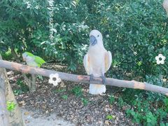 -杭州野生动物世界