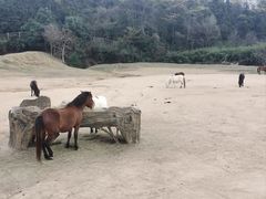 -杭州野生动物世界