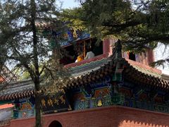 -洛阳白马寺