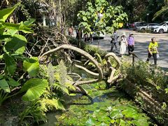 -中国科学院西双版纳热带植物园