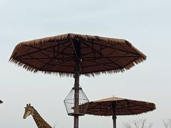 -济南野生动物世界