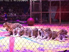 -西安秦岭野生动物园