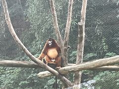 -杭州野生动物世界