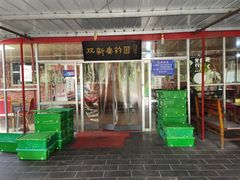-双新垂钓园