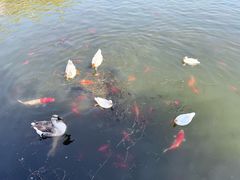 -盛京大奥莱(沈阳奥体店)