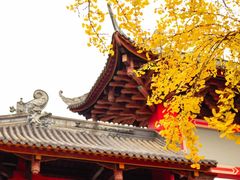 -四川大学(华西校区)