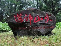 -海口火山口国家地质公园