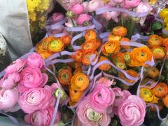 -The Flowers Coffee(南山店)