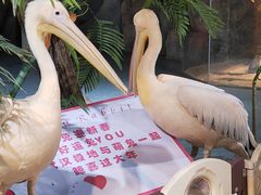 -海合安武汉极地海洋公园