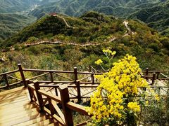 -大岭沟猕猴桃谷风景区