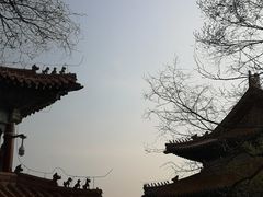 -沈阳市东陵公园