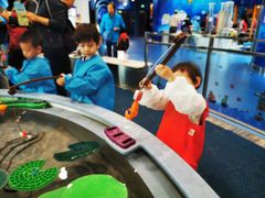 -中国宋庆龄青少年科技文化交流中心