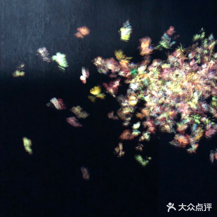 逛展|teamLab无界x 胡沈员现代舞专场