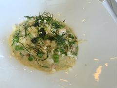 帝王蟹蟹肉烩饭配甜豆和莳萝-Jean Georges