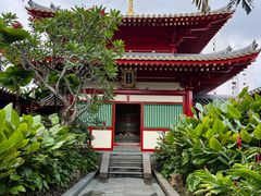 -新加坡佛牙寺龙华院